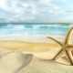 ocean beach sand seas stars starfish 1680×1050 wallpaper_www.knowledgehi.com_14